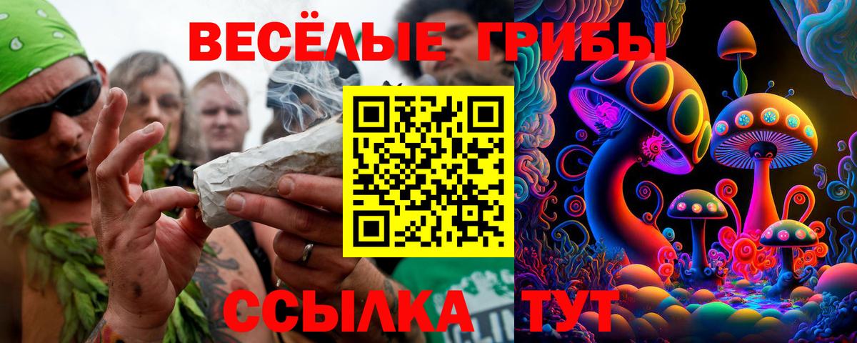 Галлюциногенные грибы Magic Shrooms  Вход с VPN  Псилоцибиновые грибы MAGIC MUSHROOMS  Волжский 