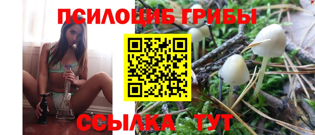 Псилоцибиновые грибы Cubensis Волжский